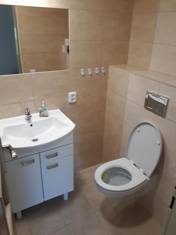 耶什赫维采Penzion Pohoda的一间带卫生间和水槽的浴室