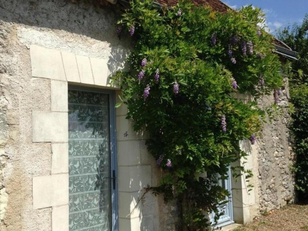 LuzilléGîte Luzillé, 3 pièces, 4 personnes - FR-1-381-303的石头建筑,有一扇门,上面有紫色的花朵
