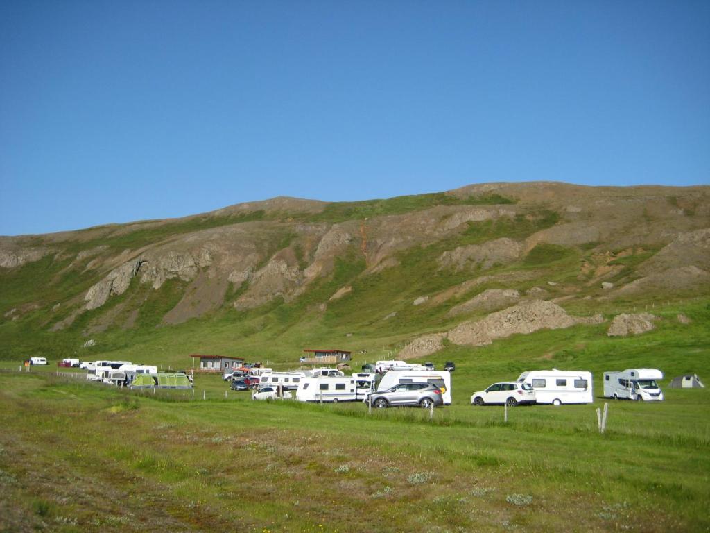 Vopnafjörður阿斯布兰斯塔迪度假屋的停在山丘旁边田野的一群车辆