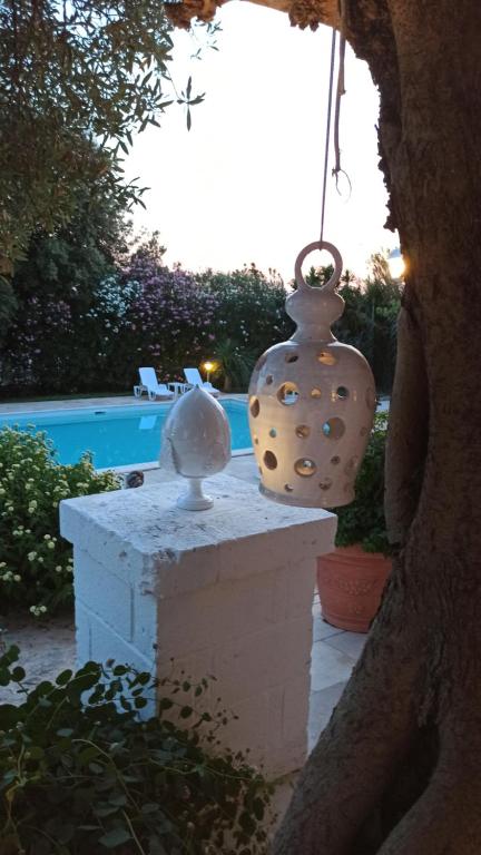 奥斯图尼Dimora Celeste的两个花瓶坐在游泳池旁边的墙上
