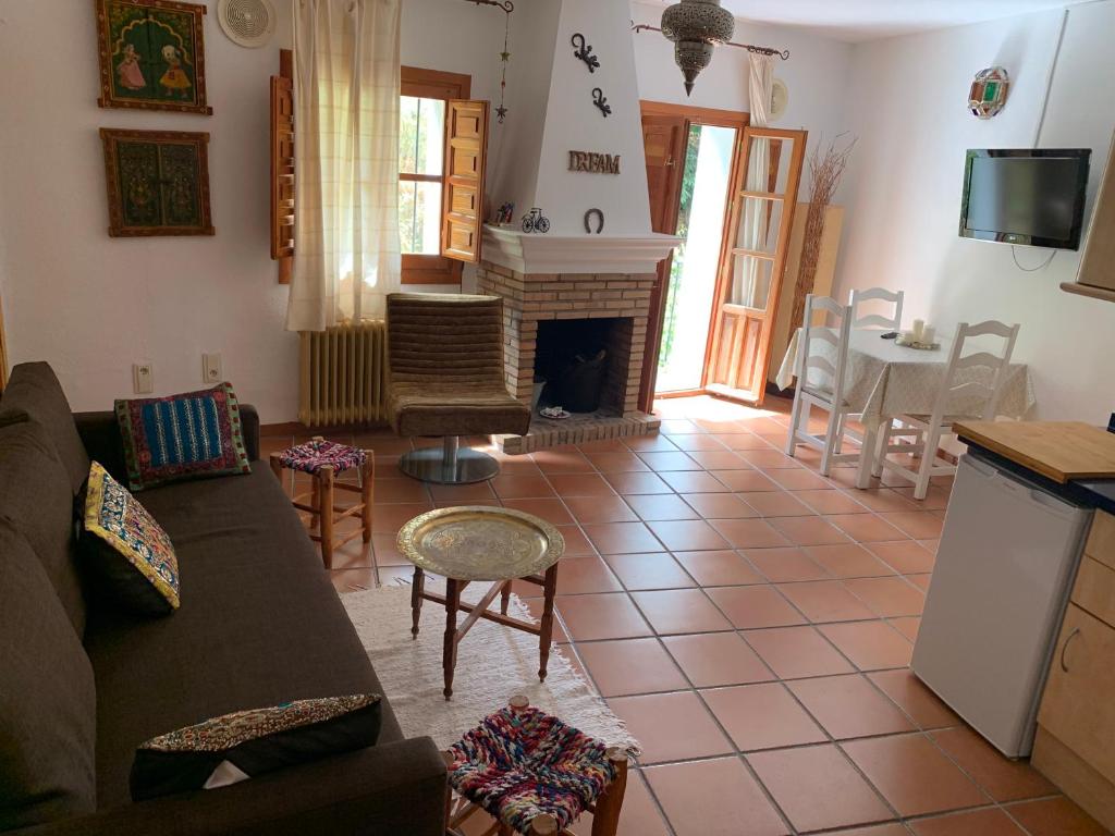 布维翁Acogedor Apartamento - La Alpujarra的带沙发和壁炉的客厅