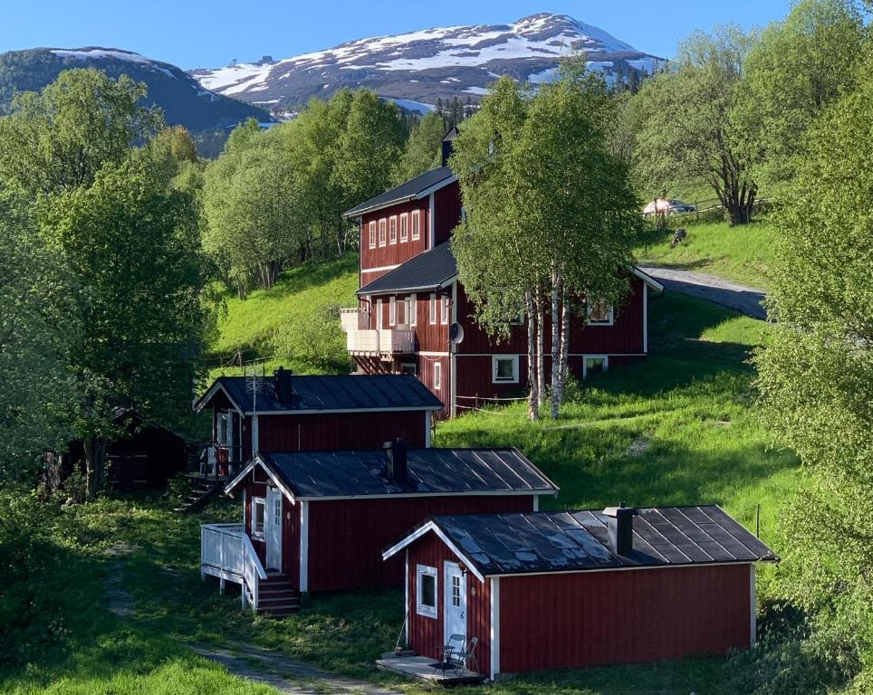 奥勒Karolinen Stugor & Lägenheter的山地中的一群谷仓