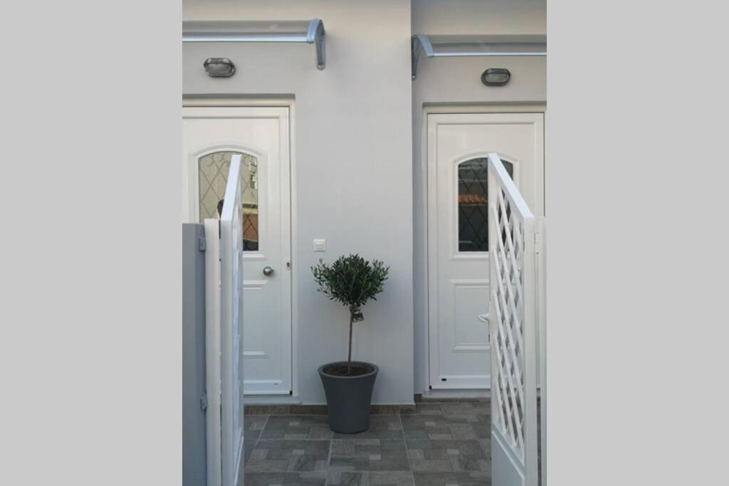 帕拉代西翁CasaDiNova1的一条带白色门和盆栽的走廊