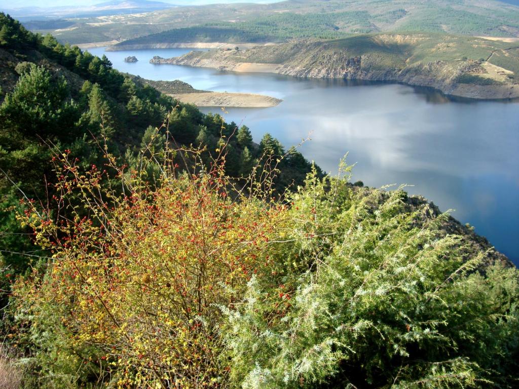 Cervera de Buitrago厄埃易高酒店的从山顶上可欣赏到湖泊美景