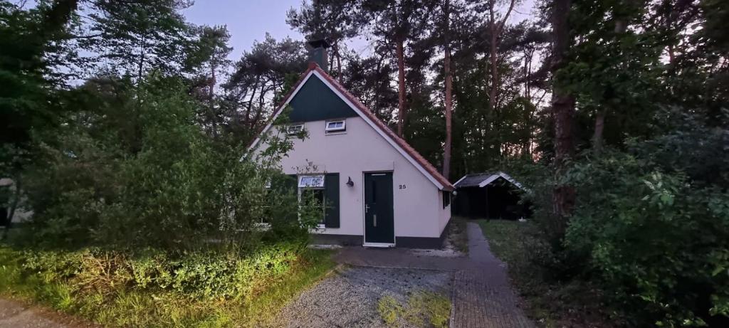 IJhorstwittebergen25的一座白色的小房子,设有绿色屋顶