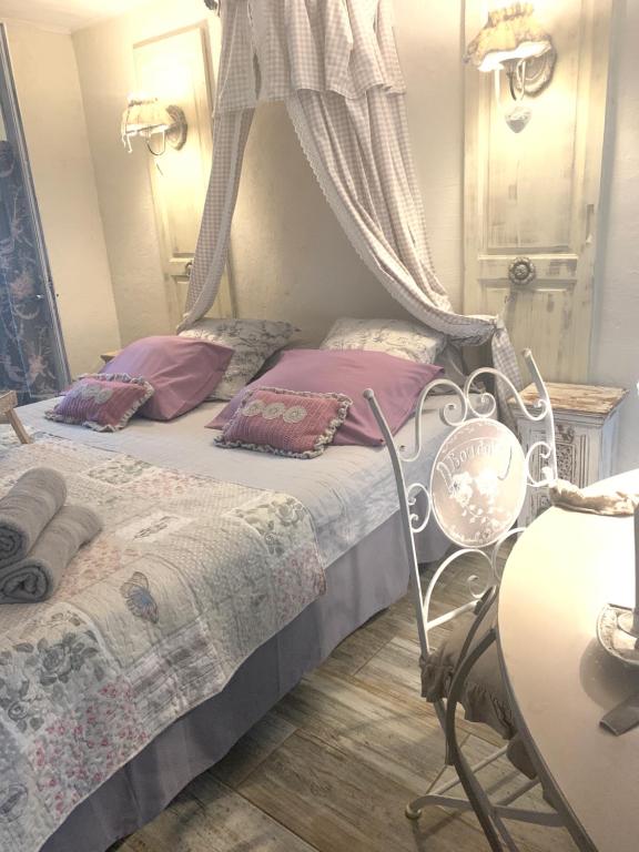 圣皮埃尔La Porte Bleue : Guest house Cosy & Jaccuzi的一间卧室配有一张带天蓬的床