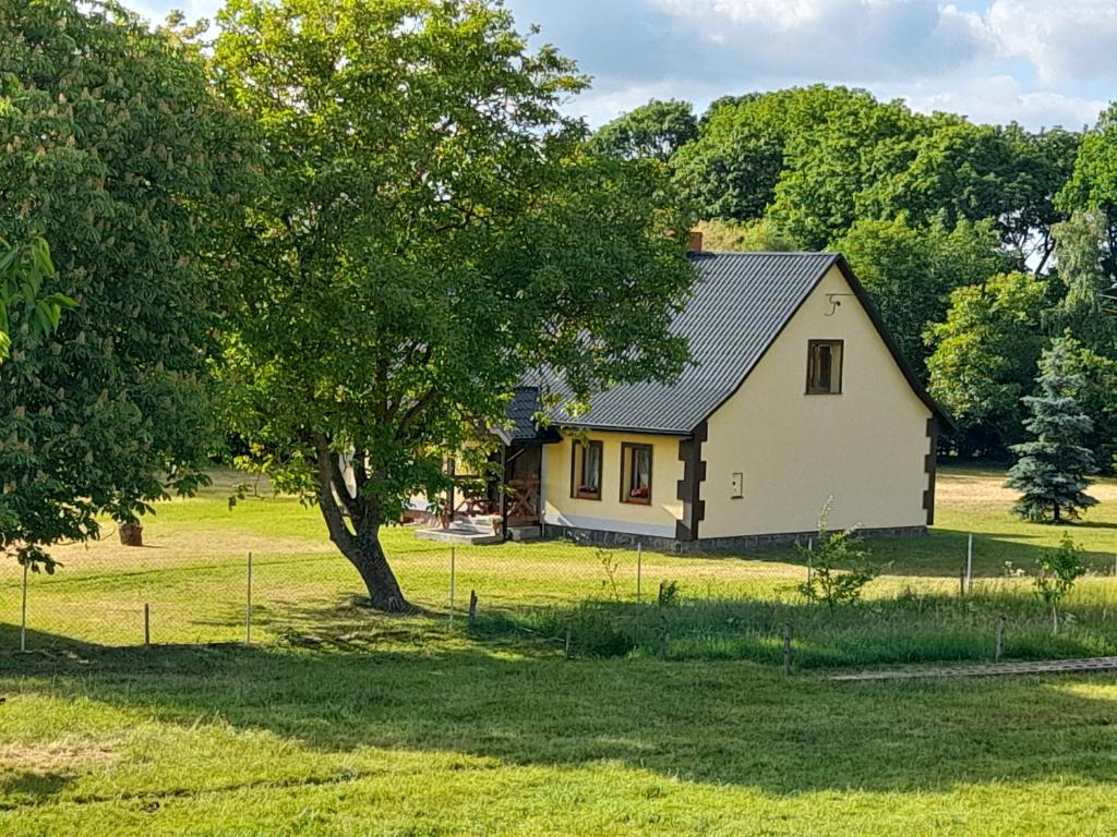 BarwicePRZYSTANEK nowEKOprzywno - Żółty Domek Pod Kasztanem的田野上一所小白房子,有树