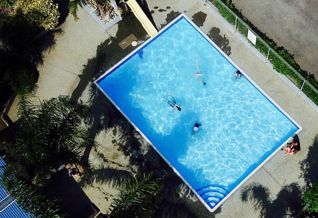 科罗曼德镇Coromandel TOP 10 Holiday Park的大型游泳池的顶部景色,里面的人