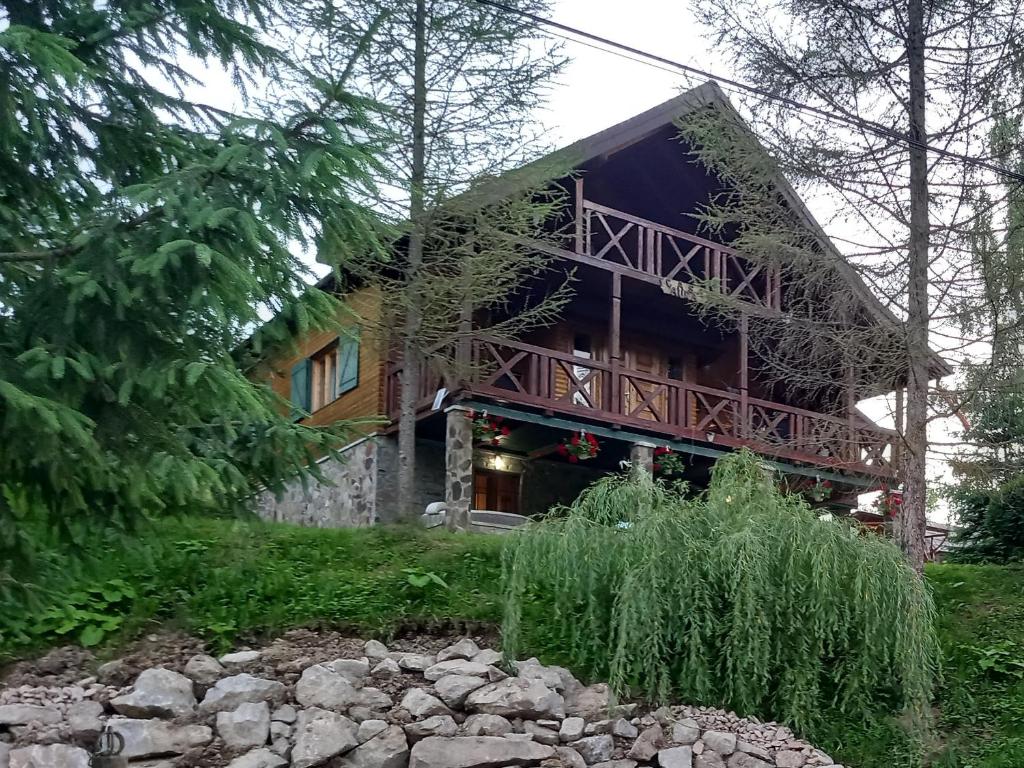坎普朗莫道尼斯Cabana Aura Campulung Moldovenesc的一座树木繁茂的小山上的木制大房子