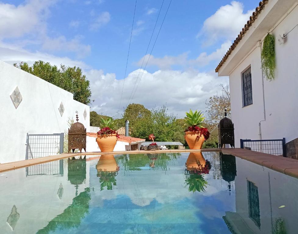贝赫尔-德拉弗龙特拉Casa Bakara的一座游泳池,两座花盆位于房子的一侧