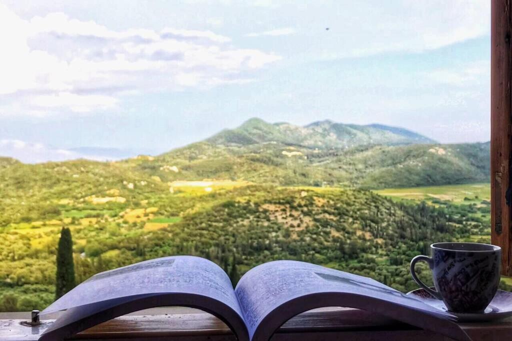 山景或在公寓看到的山景