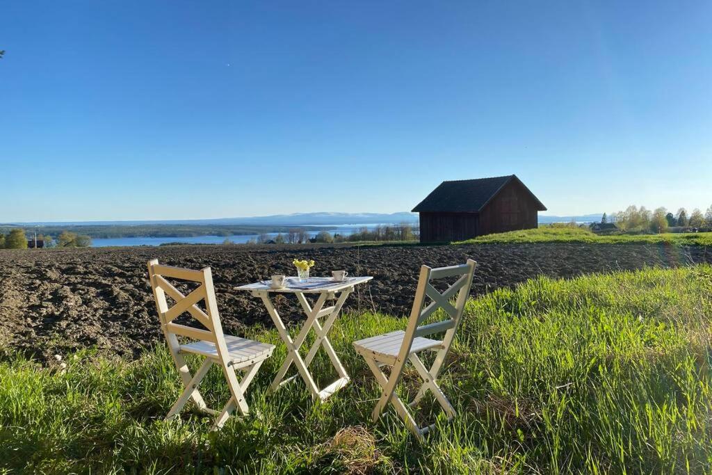 厄斯特松德Mysigt härbre med fantastisk utsikt!的田野上设有两把椅子和一张桌子,还有谷仓