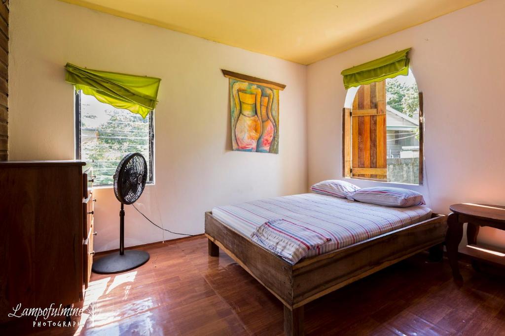 圣伊格纳西奥Bella's Backpackers Cayo的卧室配有床、风扇和窗户。