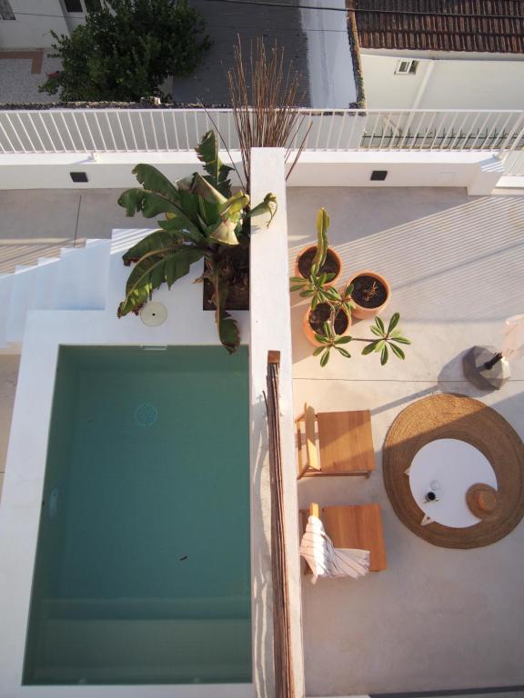 马拉加SUITES 9 MALAGA, three unique suites with private plunge pool的享有房子内游泳池的景色
