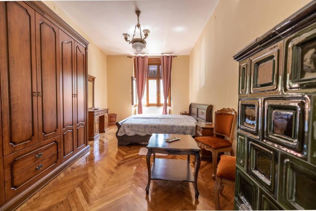 瓦拉日丁Apartman Gaudeamus的卧室配有一张床和一张桌子