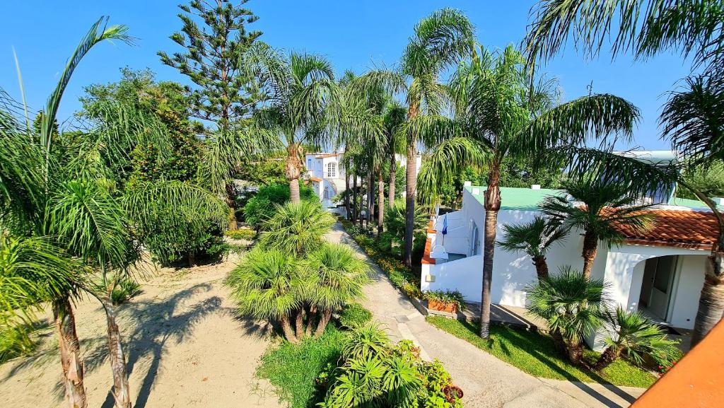 伊斯基亚Cocos Park Ischia的棕榈树庭院的空中景致