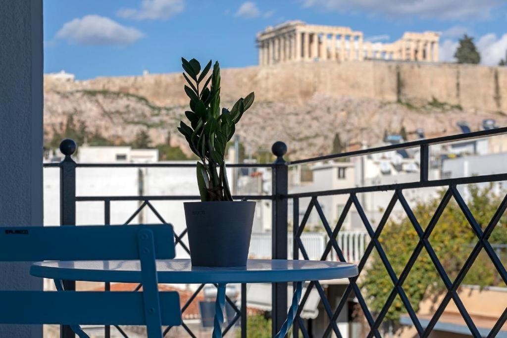 雅典Acro Urban Suites的坐在阳台上桌子上的盆栽植物