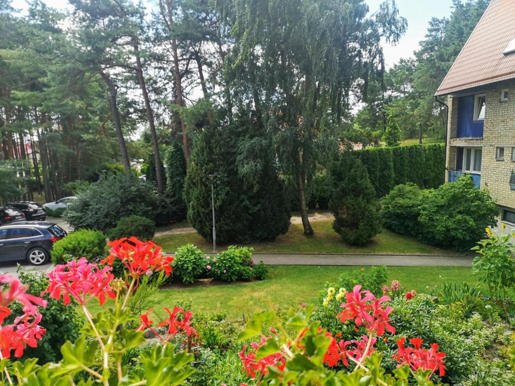 奈达Marių studija的一座花园,在房子前面有红色的鲜花和灌木