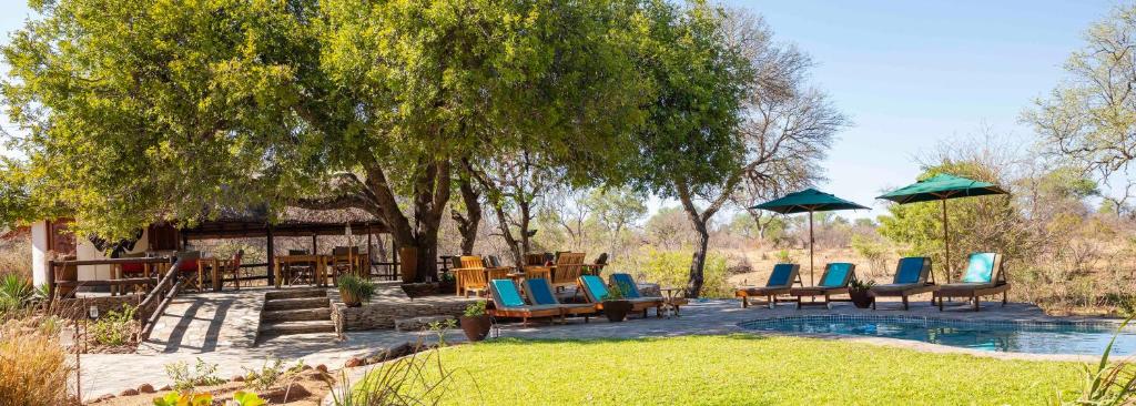 巴卢莱自然保护区Ku Sungula Safari Lodge的一组椅子和遮阳伞,位于游泳池旁