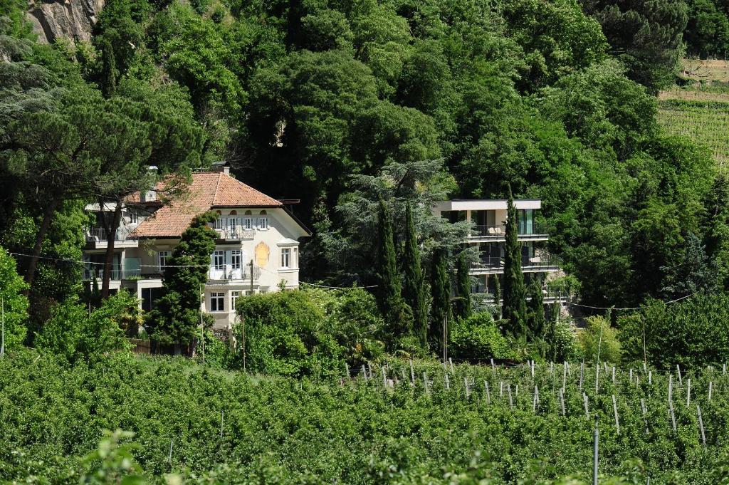 梅拉诺Villa Sasso的山丘中间的树木房子