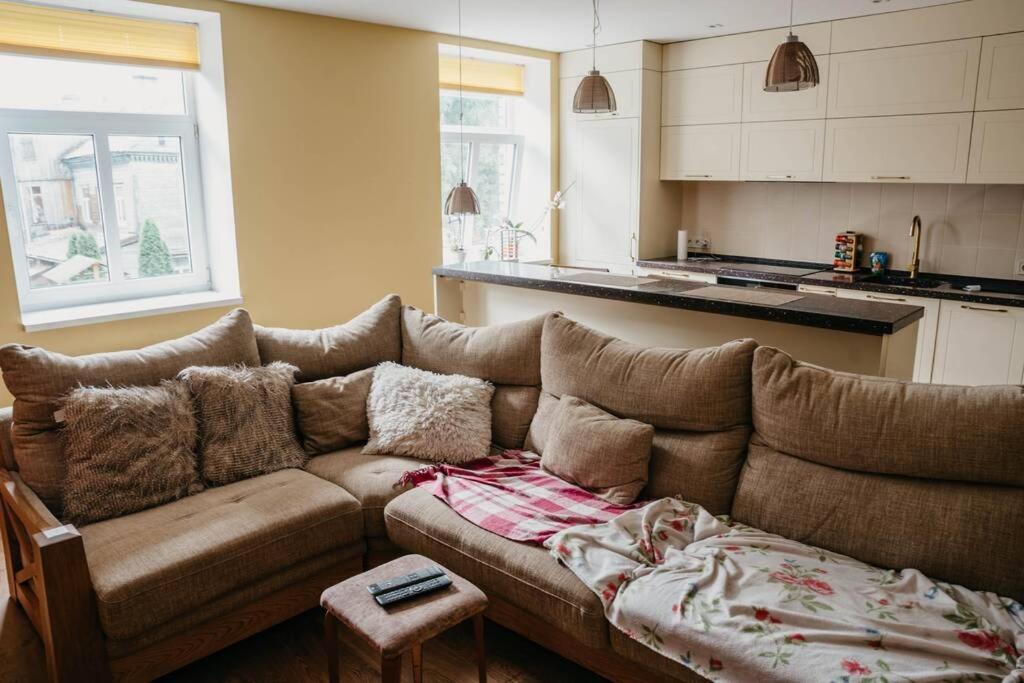 利耶帕亚Lovely apartment for families and couples的一间带棕色沙发的客厅和一间厨房