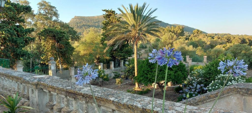 CastellitxCasa Castellitx Mallorca的一座种有棕榈树和石墙的花园