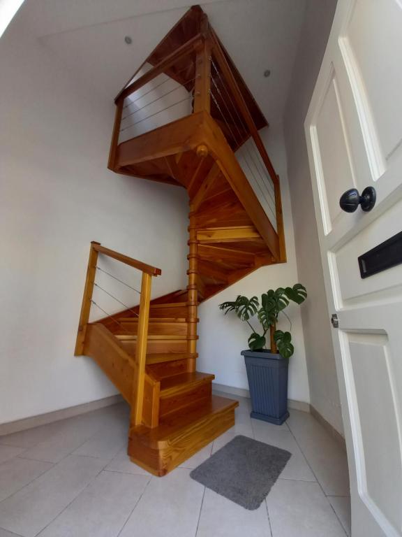 比尔泽布贾Ayla Studio House的木楼梯,位于种植了植物的房间里