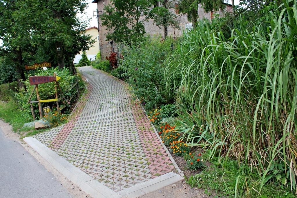 MieroszówZagroda Agroturystyczna Wiecha的花园里的砖路