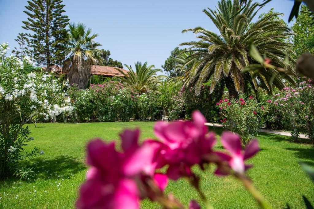 拉加纳斯Hara Studios的种有粉红色花卉和棕榈树的花园