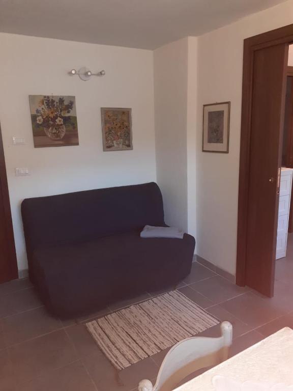PreinardoCapriolo的客厅配有黑色沙发和地毯。
