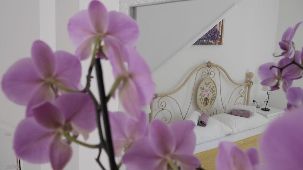 法扎纳克劳迪亚公寓的一间设有紫色花床的客房
