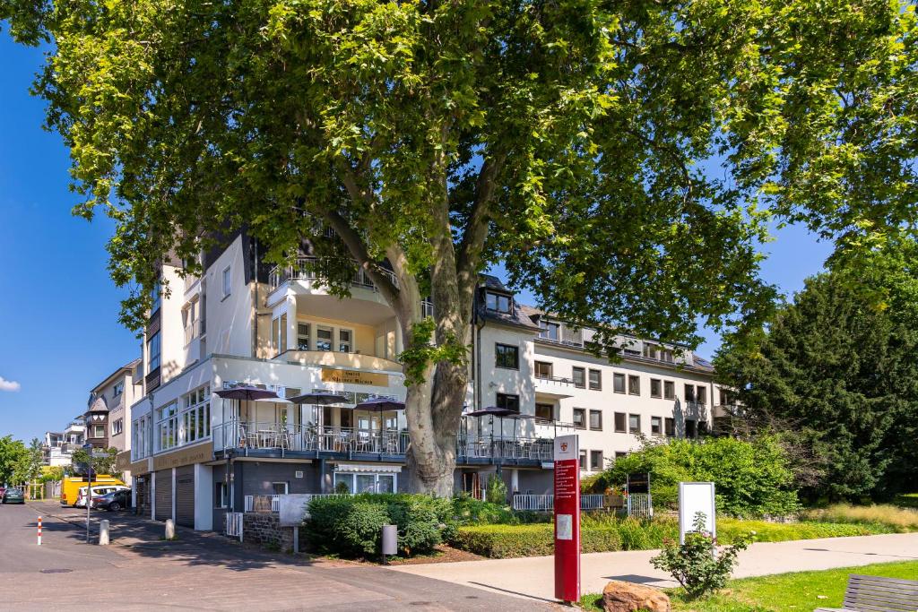 科布伦茨Hotel Kleiner Riesen的前面有一棵树的白色大建筑