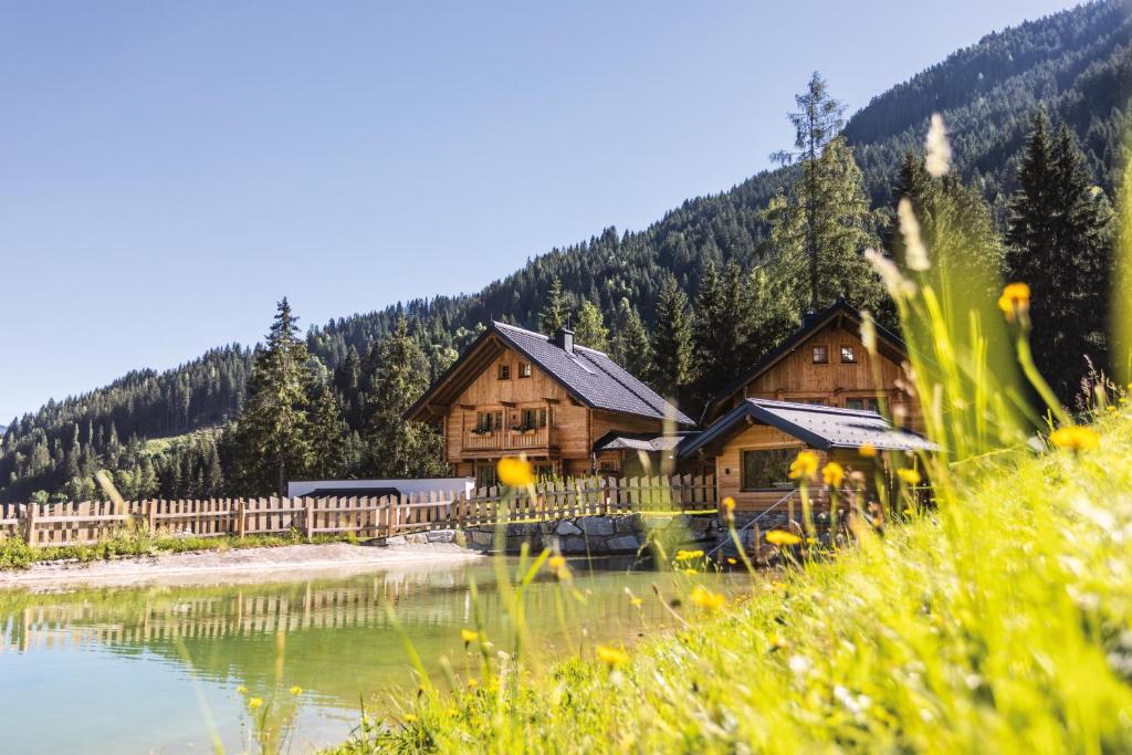 瓦格赖恩Bergseegut Chalet und Apartment的湖畔的山间小木屋