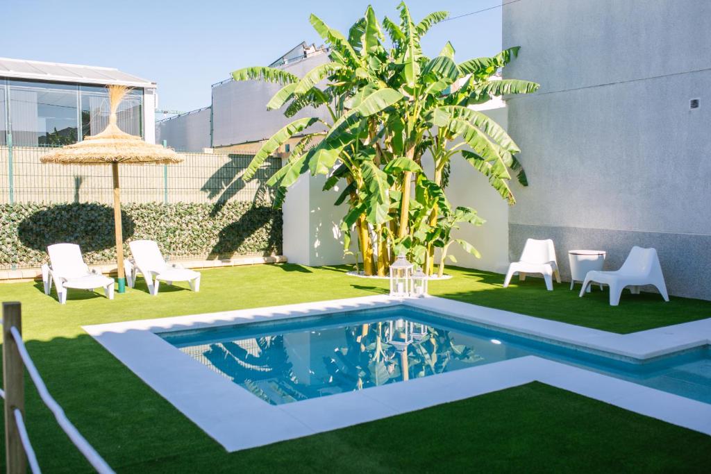 科尔多瓦Casa rural El Olivo de Córdoba的后院设有游泳池和草地
