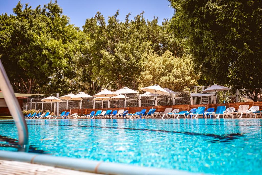 拉马特甘Kfar Maccabiah Business & Sport Hotel的一个带椅子和遮阳伞的游泳池