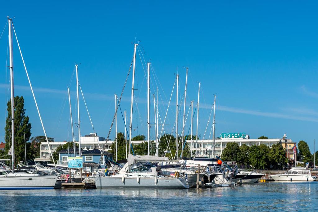 玛丽港阿尔基佩拉格酒店的停靠在码头的一群船