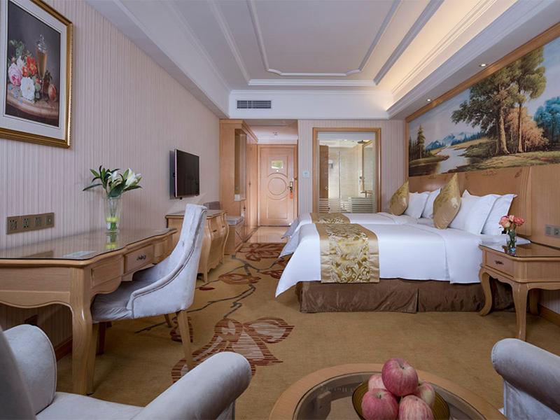 维也纳国际酒店(湘潭中心店)