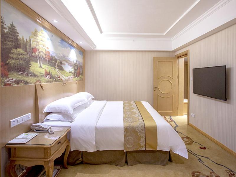 成都维也纳酒店成都大丰地铁站店的一间带大床和电视的卧室