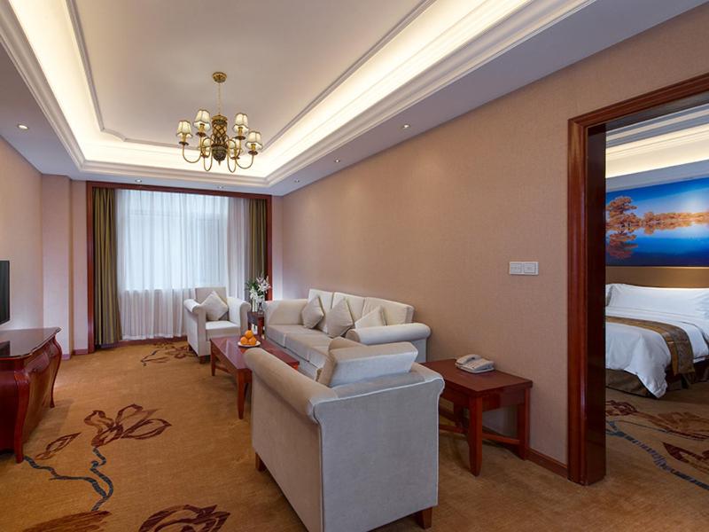 阿拉善左旗维也纳国际酒店内蒙古阿拉善店的酒店客房设有一张沙发和一张床