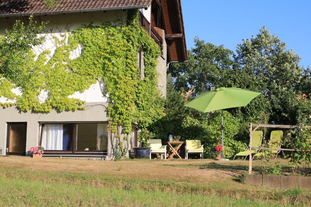 吕格德Ferienwohnung Naturfreund的房子前面的绿伞