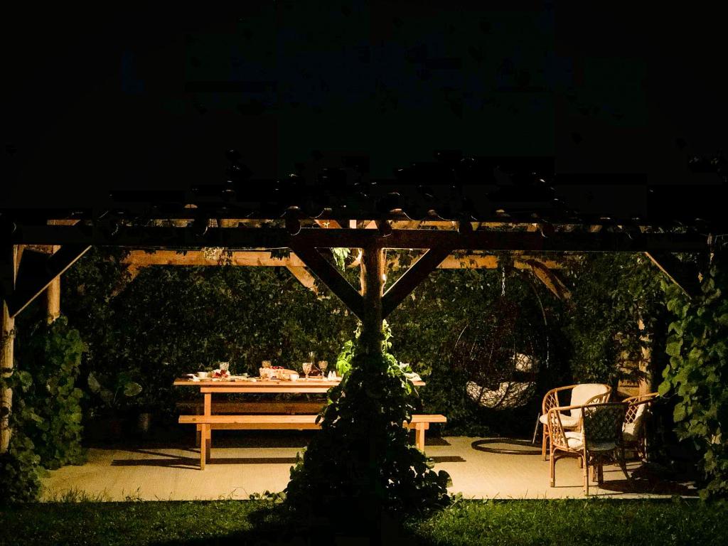 K'vemo Alvani,,Anna's" Guesthouse的晚上在花园里的野餐桌