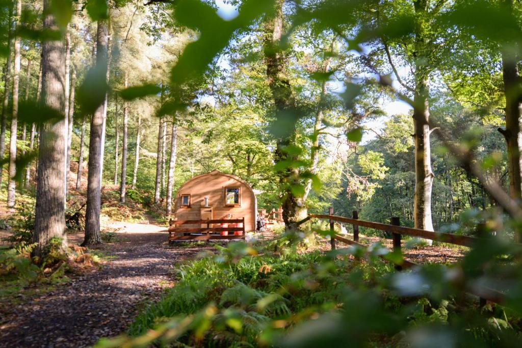 卡莱尔Broomhills Farm River Eco Pods的树林中的小屋,有栅栏和树木