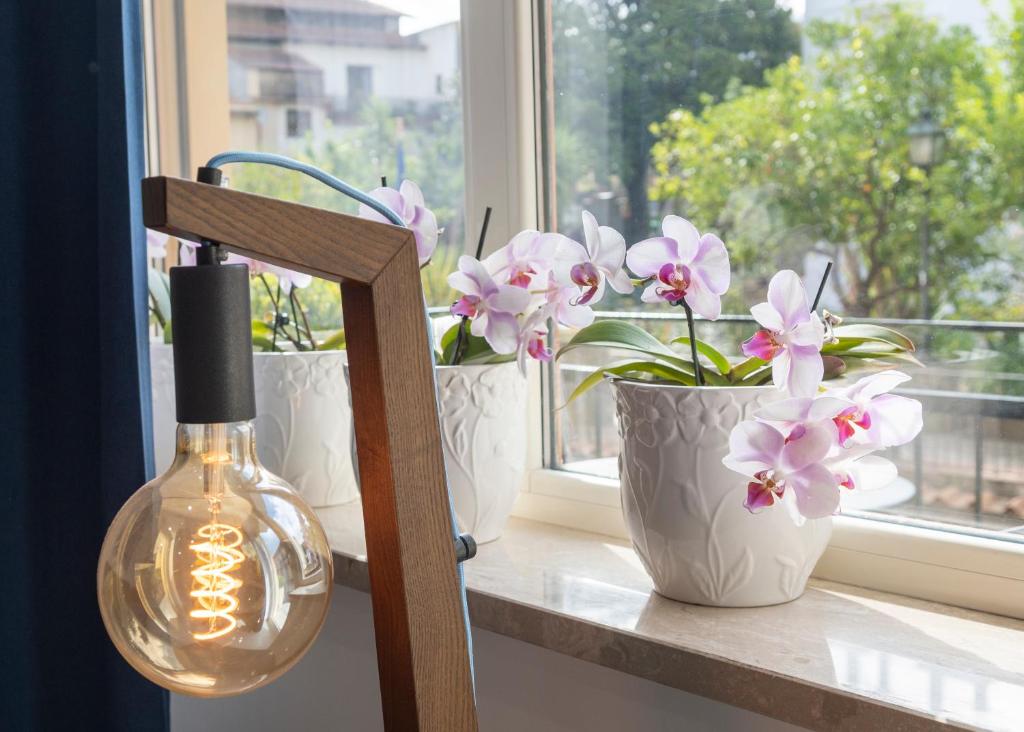 索伦托Casa Marino的窗台边有三个白色花瓶,上面有鲜花