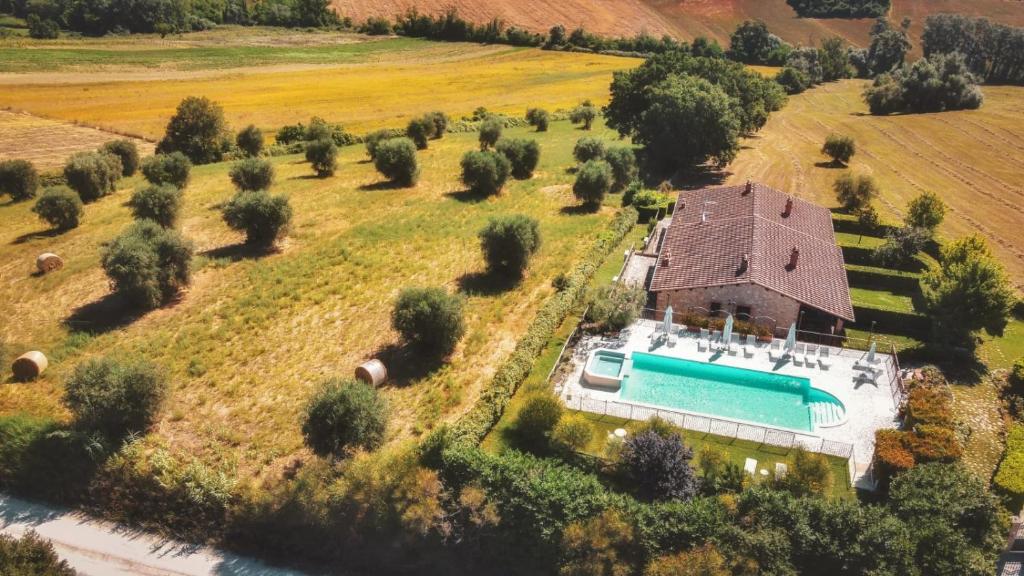 阿梅利亚Agriturismo Dei Casali的享有带游泳池的房屋的空中景致
