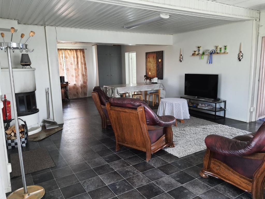塞伊奈约基Tiinan Tallin talo的客厅配有皮椅和电视