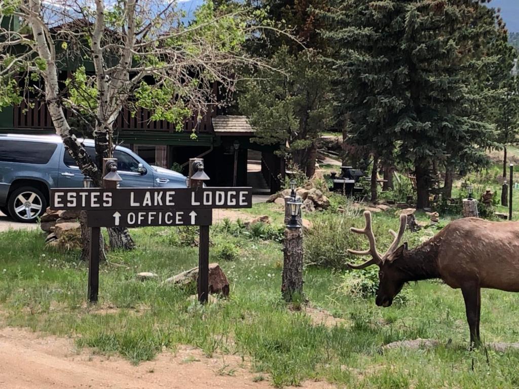 埃斯蒂斯帕克Estes Lake Lodge的湖滨小屋的标志旁的 ⁇ 鹿