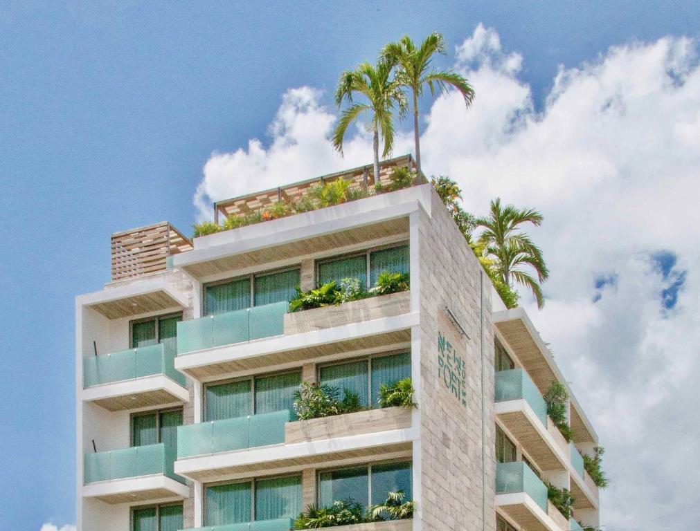 普拉亚卡门纽波特豪斯海滩精品酒店的一座棕榈树顶部的建筑