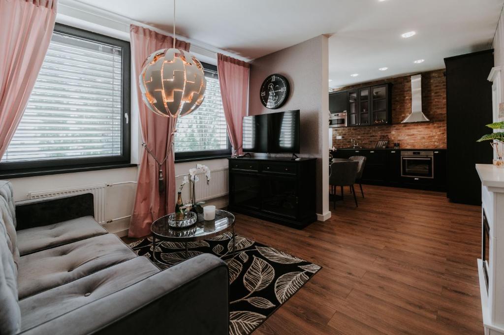 莱维采Apartmány Evia clinic的带沙发和桌子的客厅以及厨房。