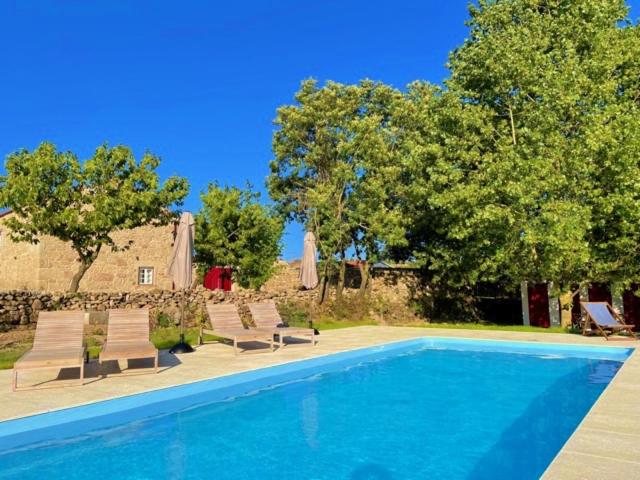 瓜尔达Quinta do Rio Noémi的一个带躺椅和树木的游泳池