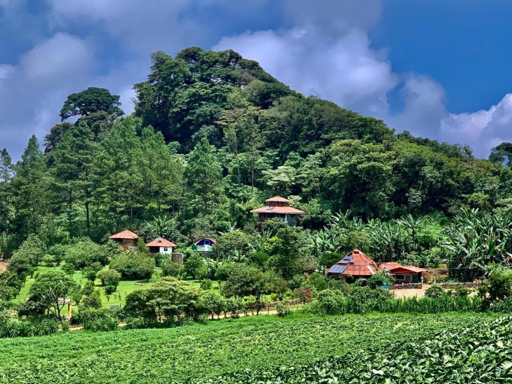 山林小屋周边自然景观